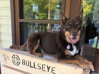 124854318_3754579387905774_316340465545519502_n